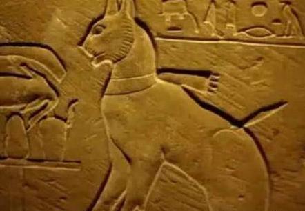 揭秘古代埃及为何崇拜猫 甚至还做成木乃伊来供奉神灵