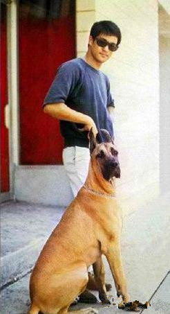 汇总:李小龙创造的9大世界纪录