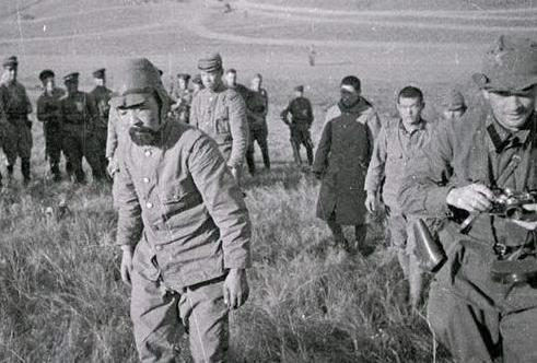 日本不敢和德国一起打苏联