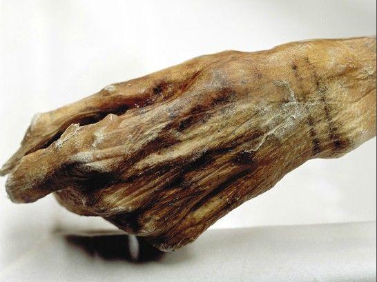 冰人奥茨：冰冻千年木乃伊发现过程揭秘