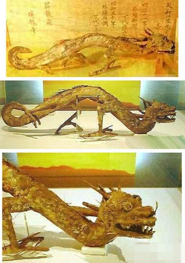 昆仑山脉古洞惊现传说中真龙