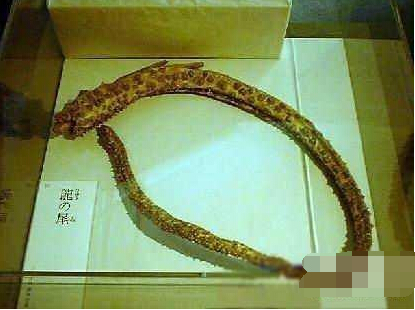 昆仑山脉古洞惊现传说中真龙