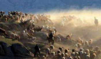 盘庚为了复兴商朝都做了什么