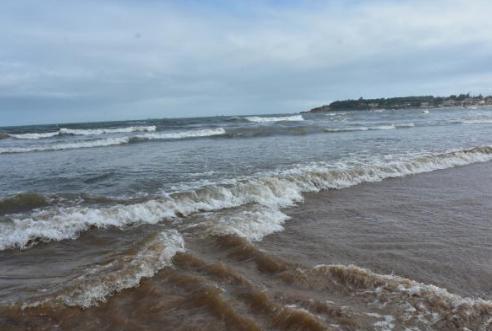 是天使还是恶魔