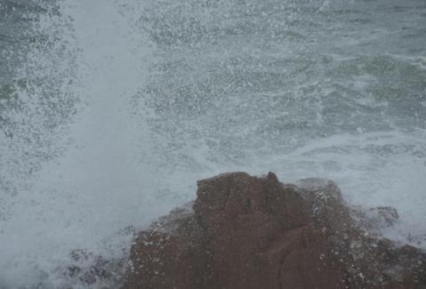 是天使还是恶魔