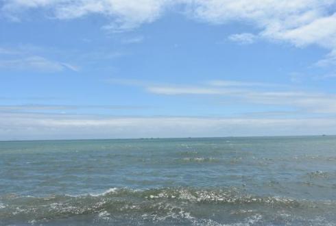 是天使还是恶魔