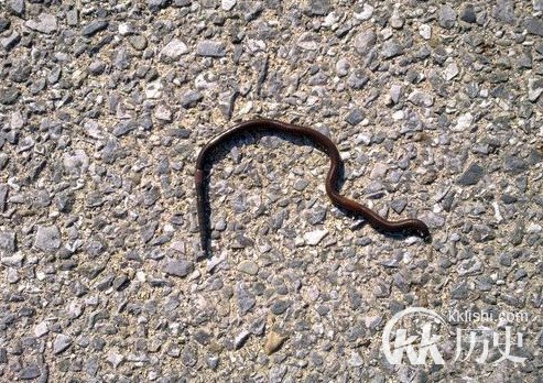 从小被骗!中国小孩一直信以为真的36个谎言