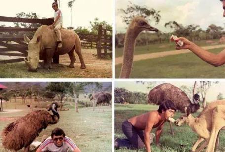 比坤沙更牛的毒枭巴勃罗&middot;埃斯科巴 手下拥有4万大军，还扬言要做总统