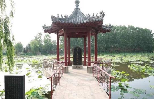 冠冕不绝的琅琊王氏：有600多人名垂青史