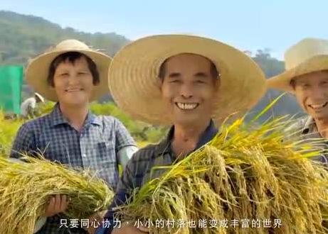 社会主义有哪些理论