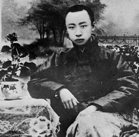 慈禧为甚选择三岁不到的溥仪去继承新位