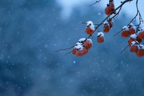 赤壁之战再复盘,曹操难道真的不知对方会用火攻吗?