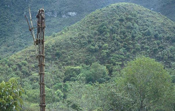 探秘印尼恐怖土著 与木乃伊住一起