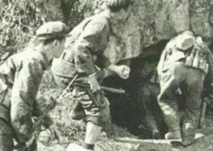 军人王志勇去看病,被小混混碰瓷,逼不得已拿出一等功勋章,惊动首长!