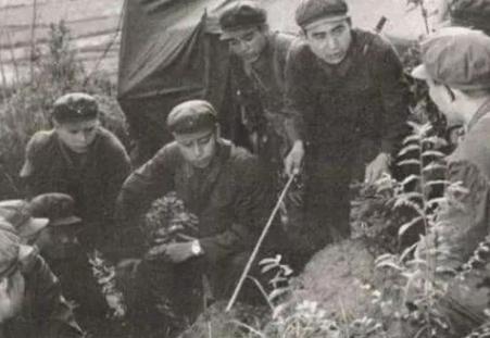 军人王志勇去看病,被小混混碰瓷,逼不得已拿出一等功勋章,惊动首长!