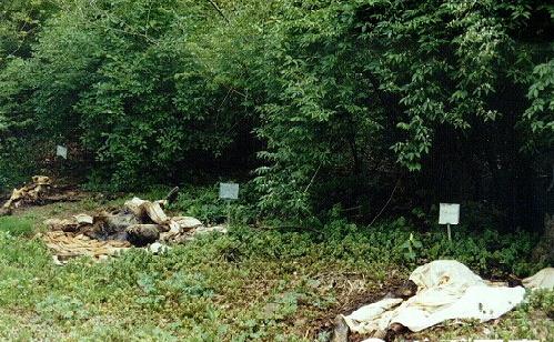 美国三所大学竟然建造尸体农场