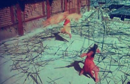 古代乱箭之下大侠都用兵器格挡 现实中真实存在吗