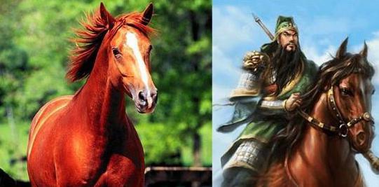 中国古代真的有千里马吗