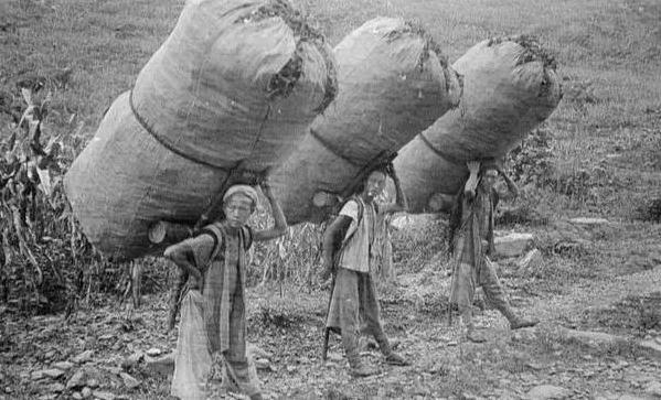 民国初期百姓靠什么来运输东西