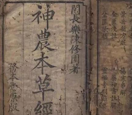 古代方士的“长生不老”之法有好的地方吗