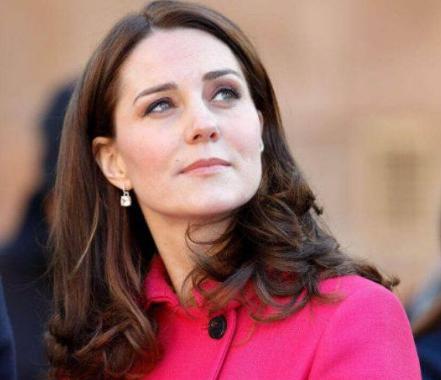 有关英国王室的奇葩规则有哪些 不允许有任何社交媒体