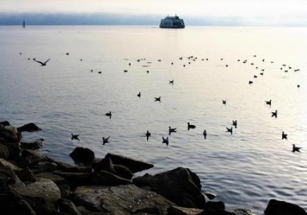 陆羽之前没有“茶”字