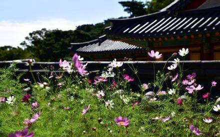 陆羽之前没有“茶”字