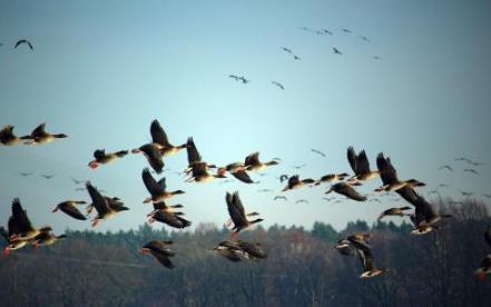 陆羽之前没有“茶”字