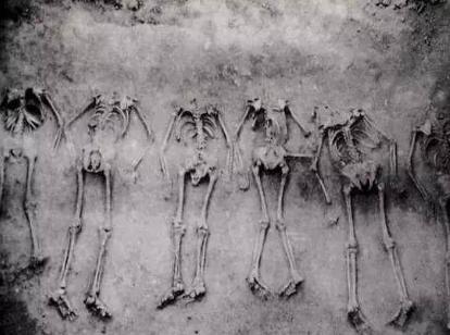 商朝文明到底是不是从西方而来的呢 为何殷墟中出现白人遗骨呢