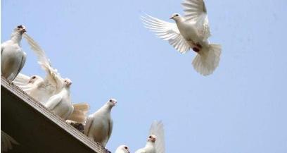 古代的人民通讯的方式都有哪些 一般的送信方式是什么样的