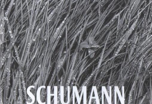 罗伯特&middot;舒曼的作品有哪些