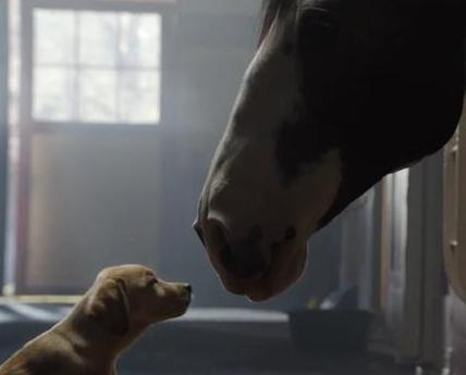 古代可以随意的入住酒店吗 酒店一般都有什么样的服务呢