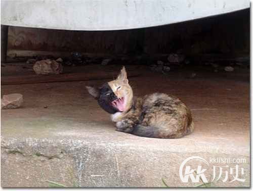 欺骗你的眼睛 30张未经ps的神奇照片