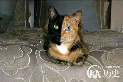 欺骗你的眼睛 30张未经ps的神奇照片