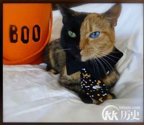 欺骗你的眼睛 30张未经ps的神奇照片