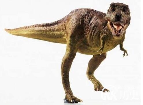 史前动物大揭秘：盘点史前十大恐龙(组图)