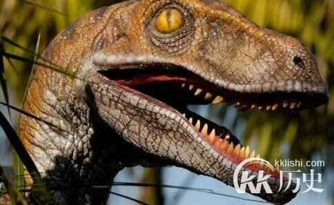 史前动物大揭秘：盘点史前十大恐龙(组图)