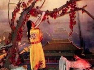 崇祯岳父的一个小计策，直接让明朝覆灭了