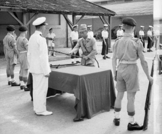 二战期间日军攻占法属印度支那 因饥荒被饿死人数达两百万