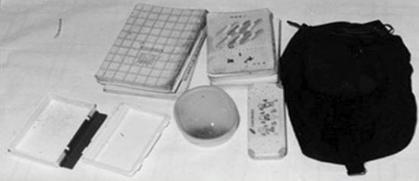 韩国华城连环杀人案：五年间受害者共10名，只有1人幸存