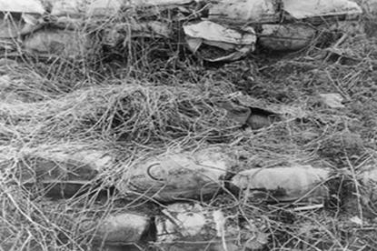 韩国华城连环杀人案：五年间受害者共10名，只有1人幸存