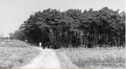 韩国华城连环杀人案：五年间受害者共10名，只有1人幸存