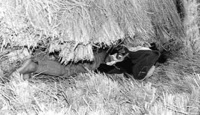 韩国华城连环杀人案：五年间受害者共10名，只有1人幸存