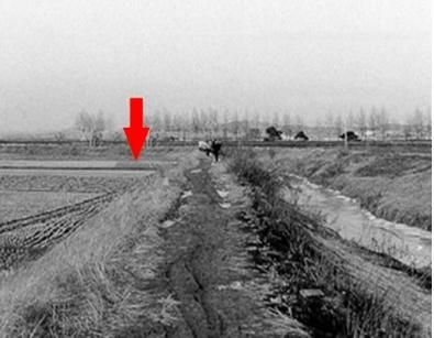 韩国华城连环杀人案：五年间受害者共10名，只有1人幸存