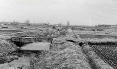 韩国华城连环杀人案：五年间受害者共10名，只有1人幸存