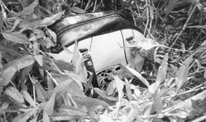 韩国华城连环杀人案：五年间受害者共10名，只有1人幸存