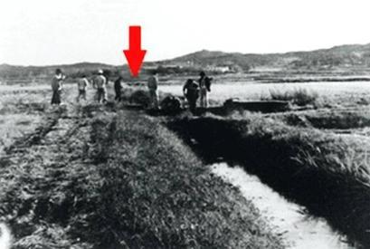 韩国华城连环杀人案：五年间受害者共10名，只有1人幸存