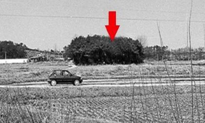 韩国华城连环杀人案：五年间受害者共10名，只有1人幸存