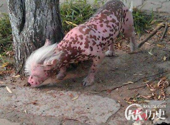 慎入！传说中那些让人毛骨悚然可怕的怪物