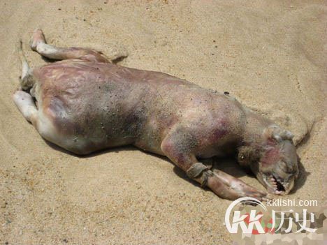 慎入！传说中那些让人毛骨悚然可怕的怪物